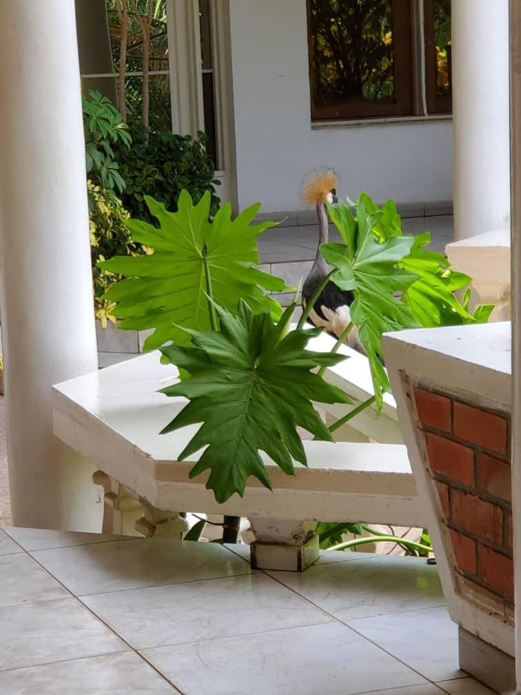 Kiriri Residence Hotel Bujumbura Exterior foto