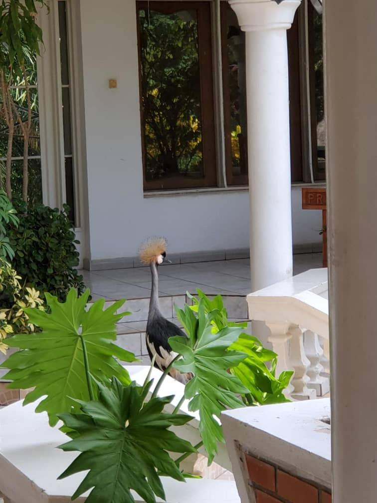 Kiriri Residence Hotel Bujumbura Exterior foto